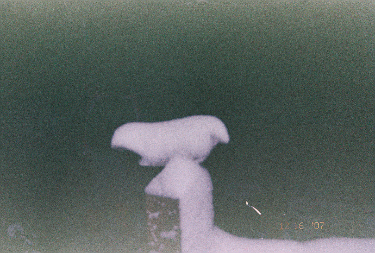 Stone Bird in Snow