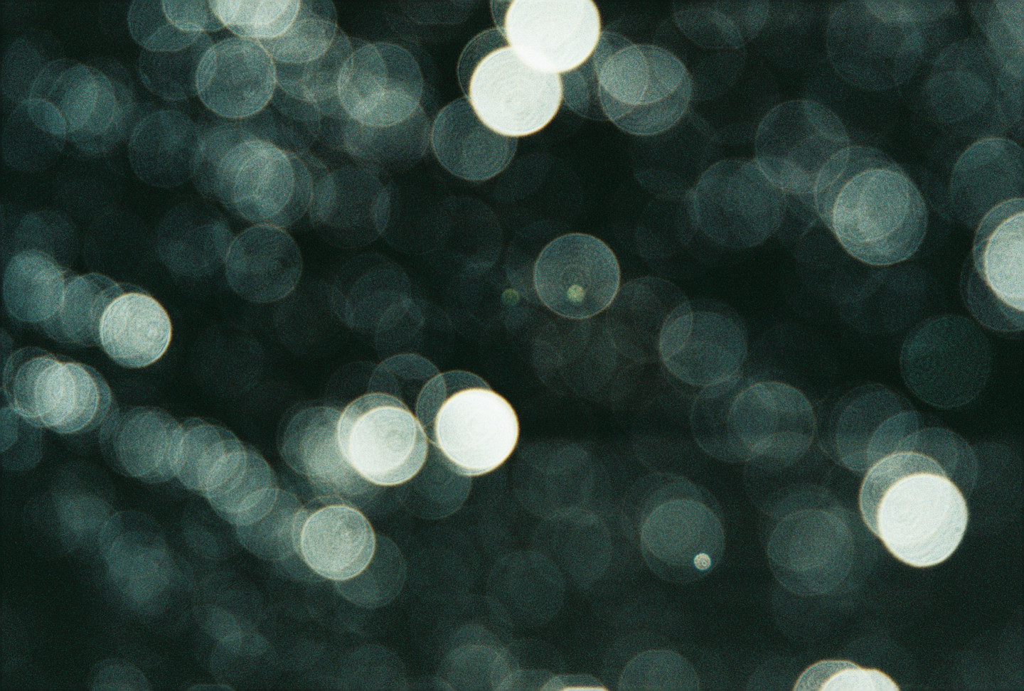 Window in the Rain