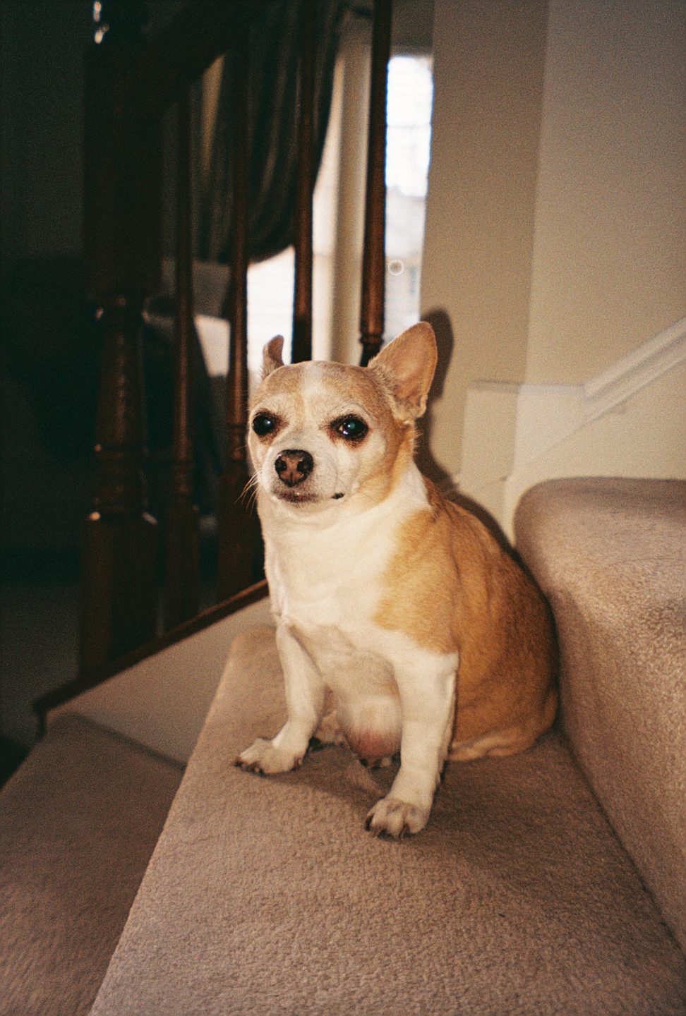 Jake on the Stairs