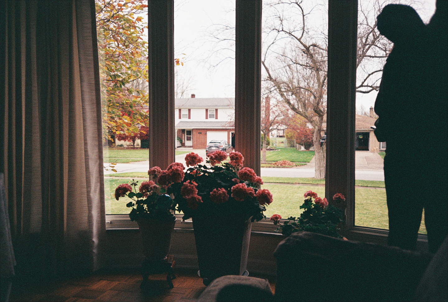 Nanas House