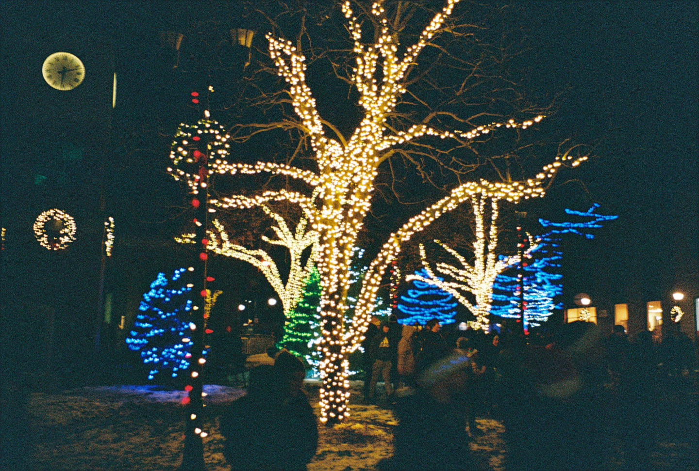 Jack Frost Festival