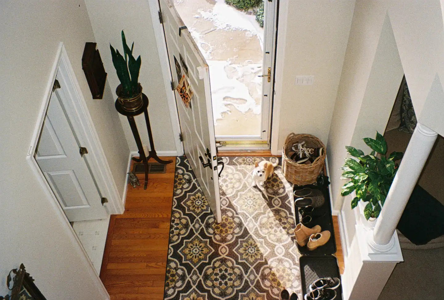 Jack Frost Festival V