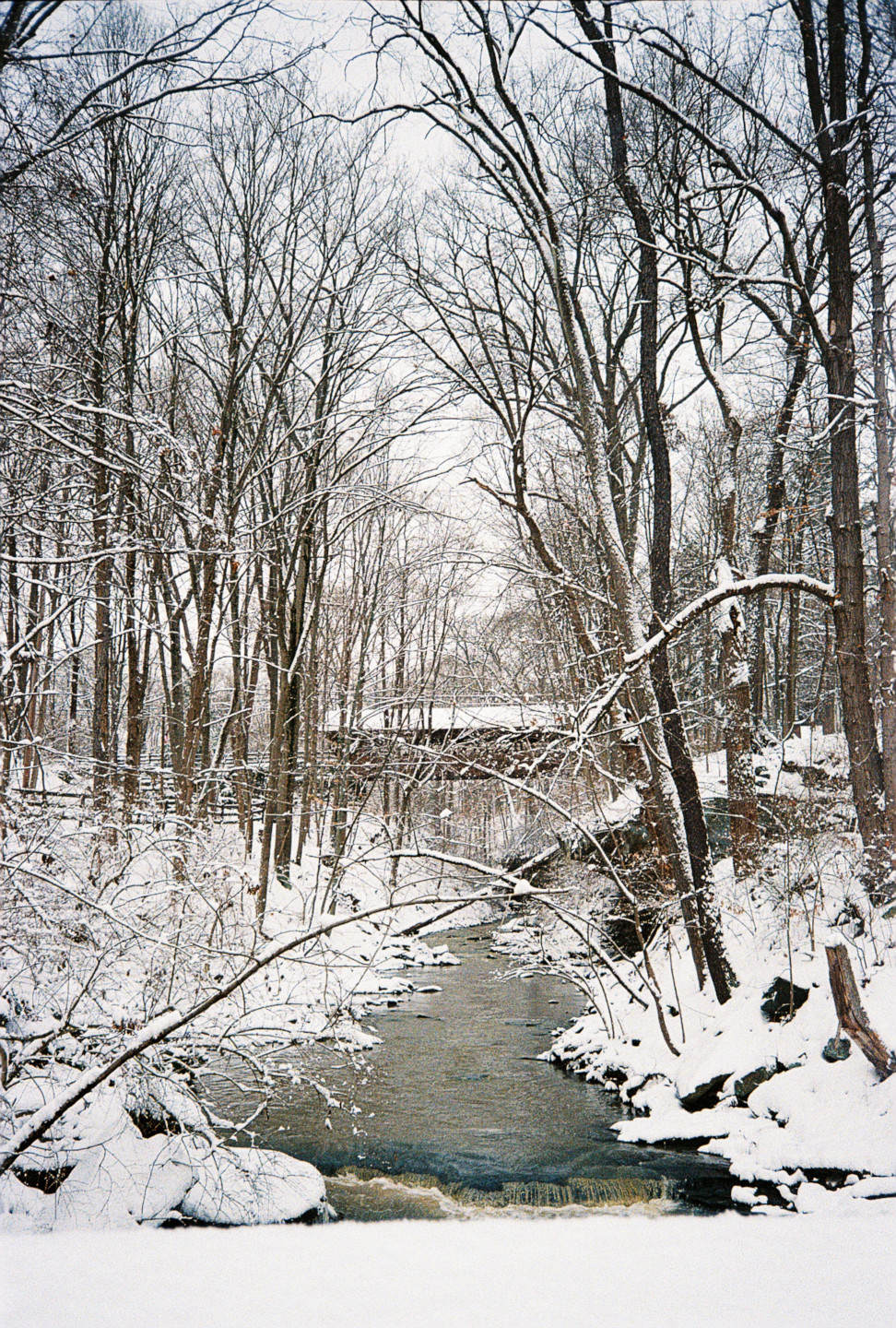 River Park in Winter V