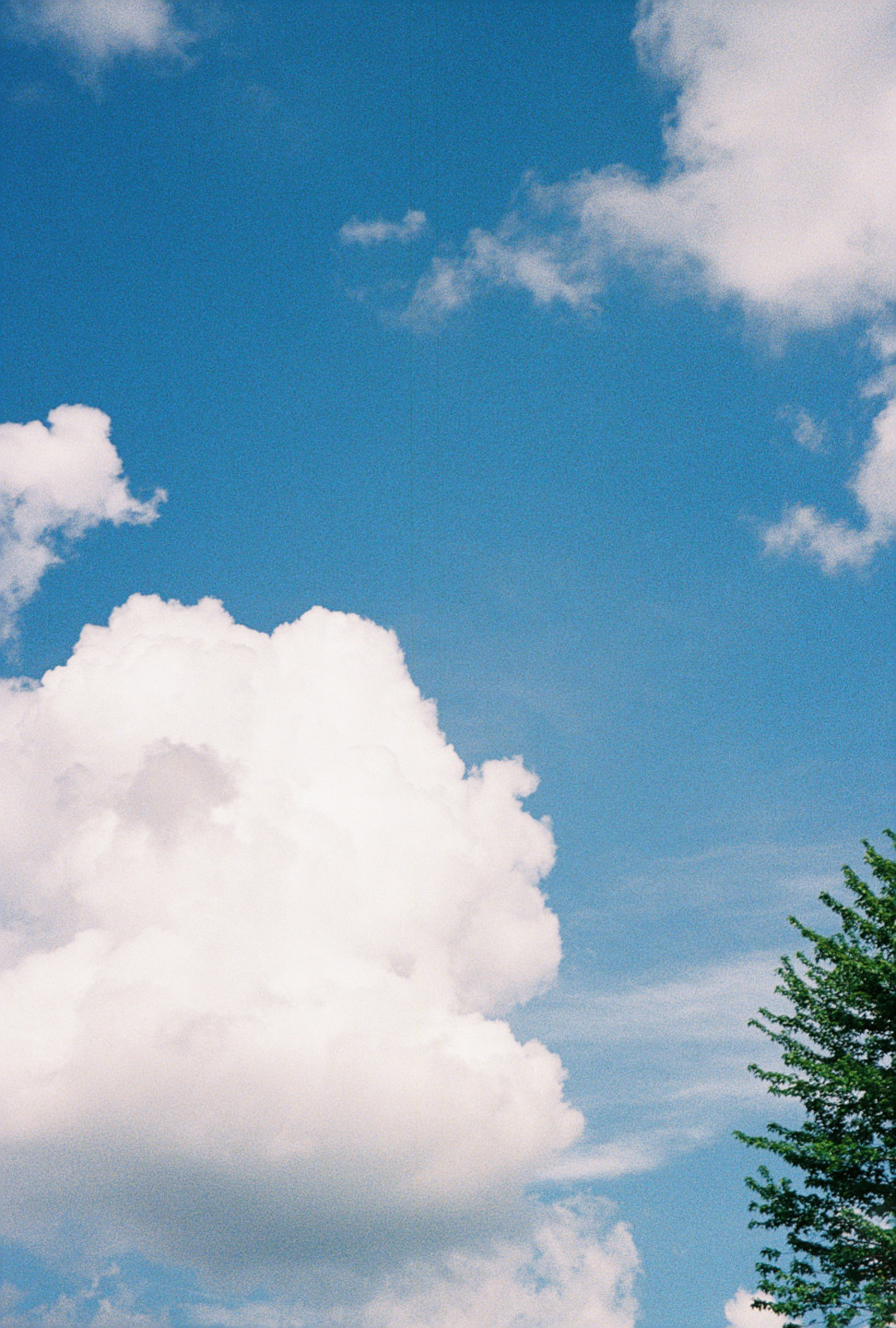 Summer Clouds