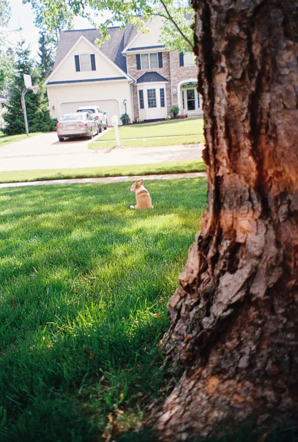 Jake Sitting Outside