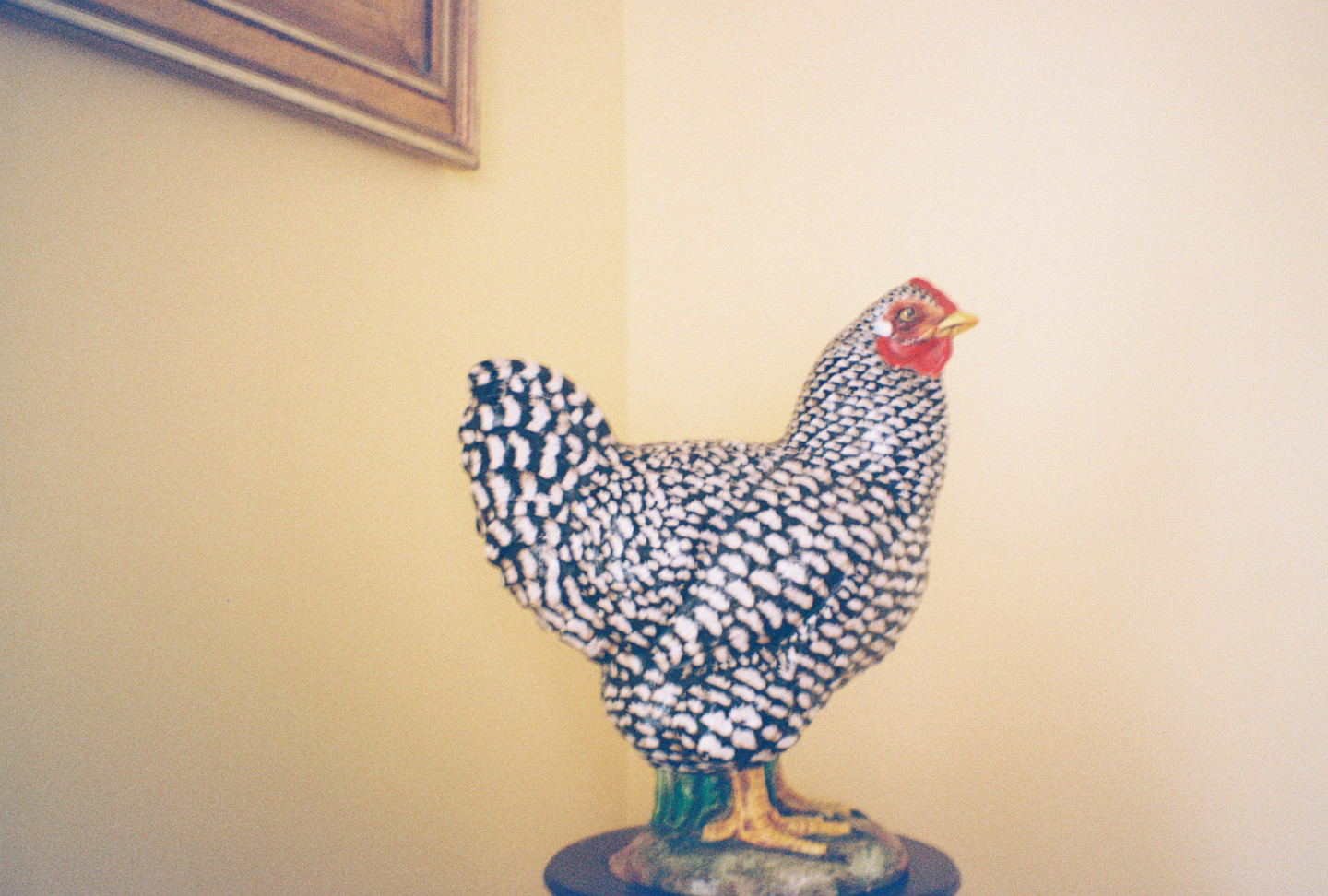 Rooster