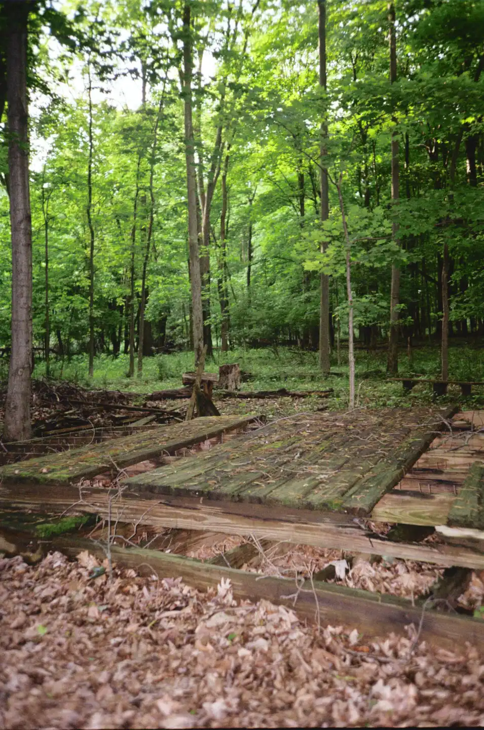 Decayed Stage in the Woods Behind Church