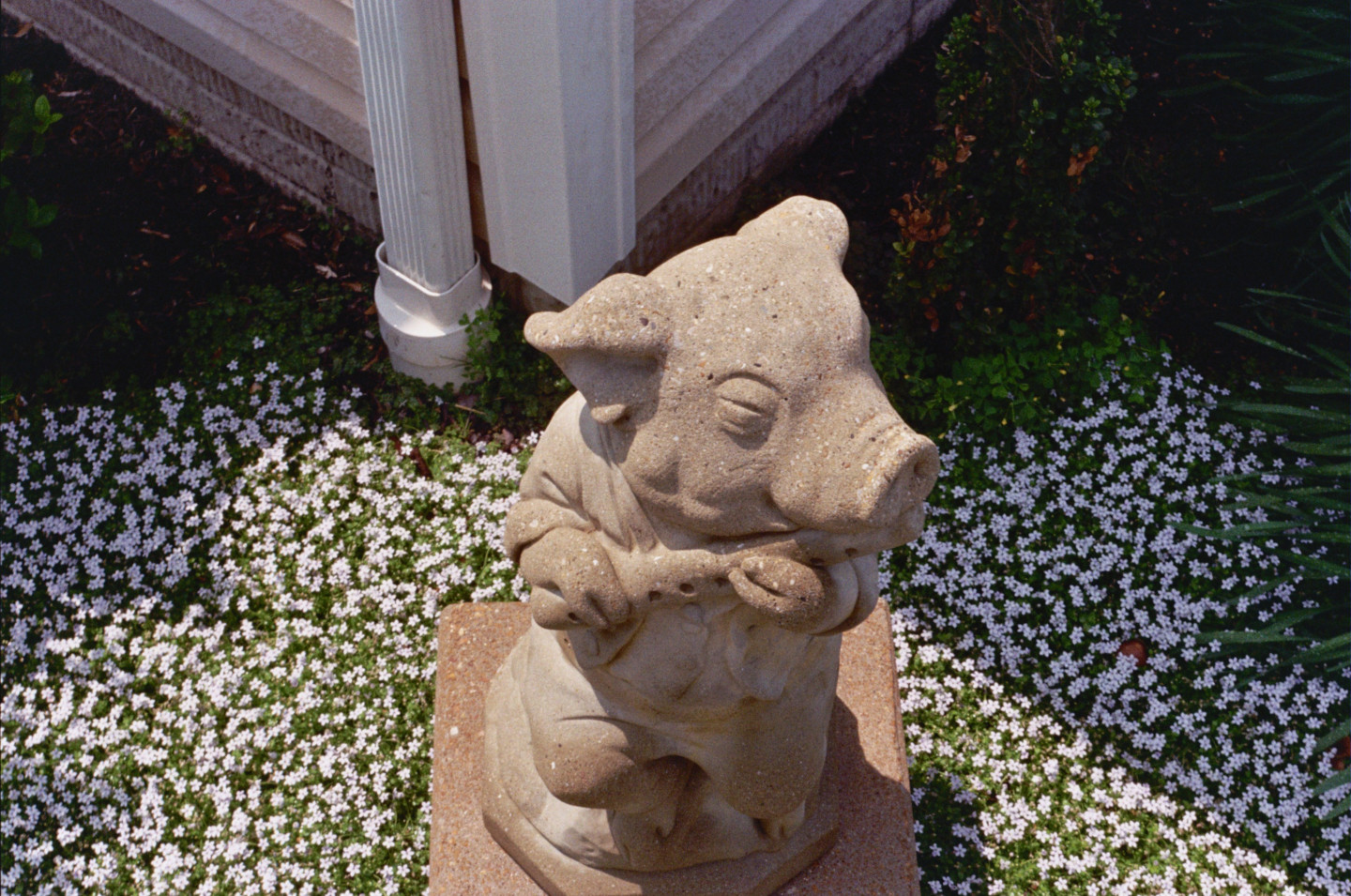 Flute Pig Statue
