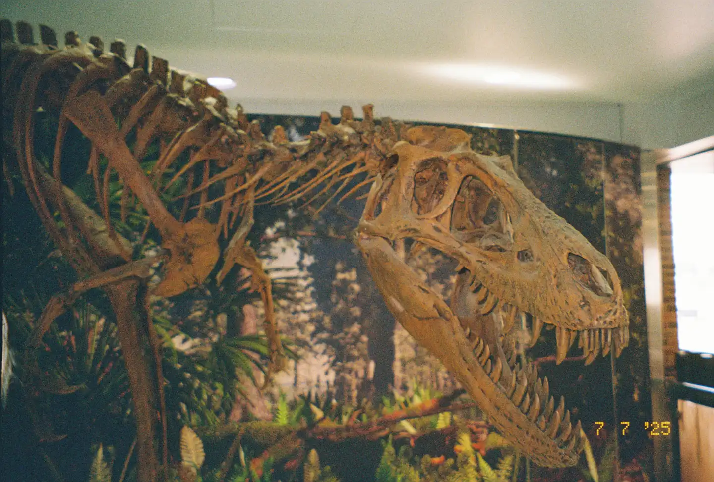 Dinosaur in the Airport