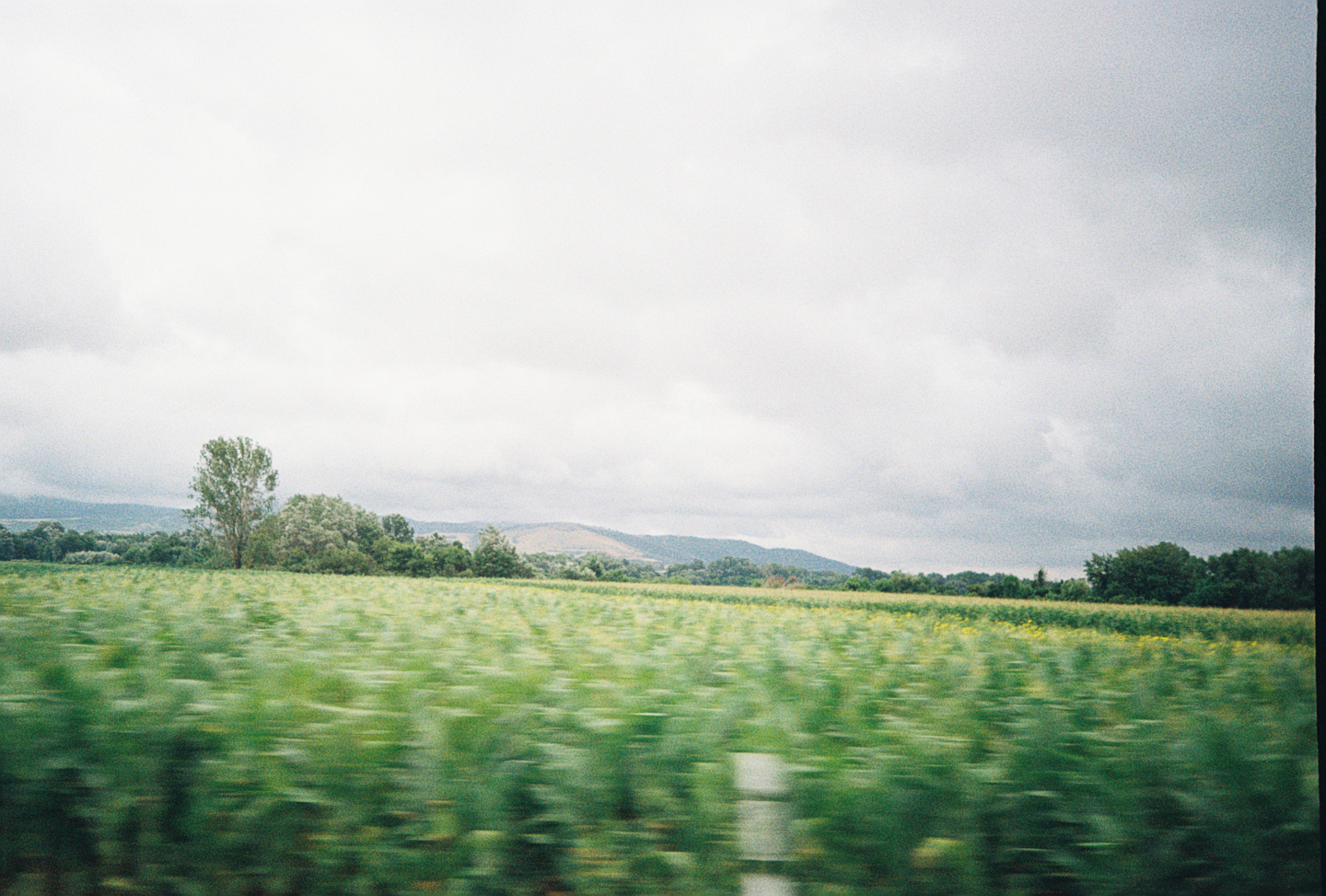 Fields and Distant Hills