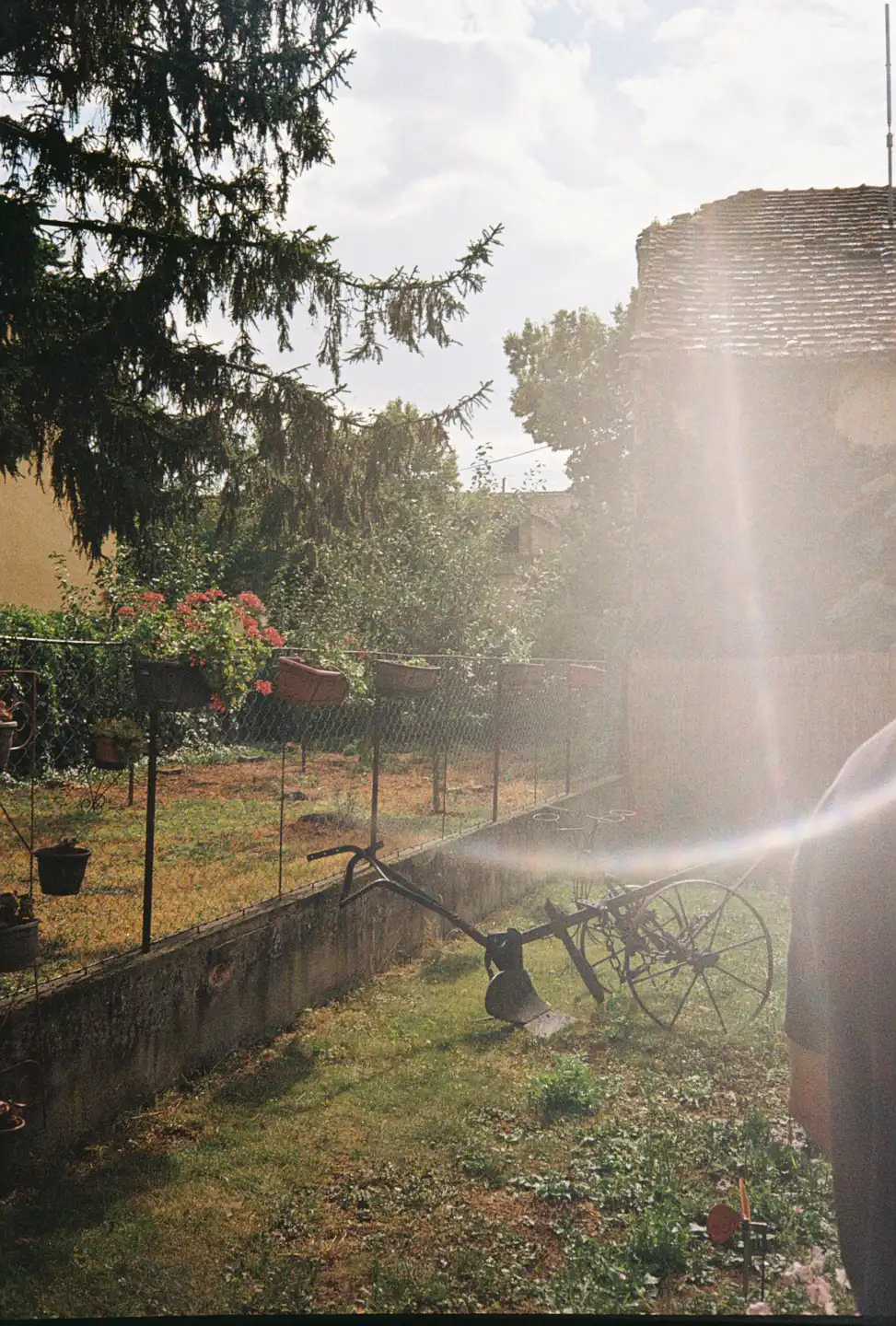 Beautiful Serbian Backyard