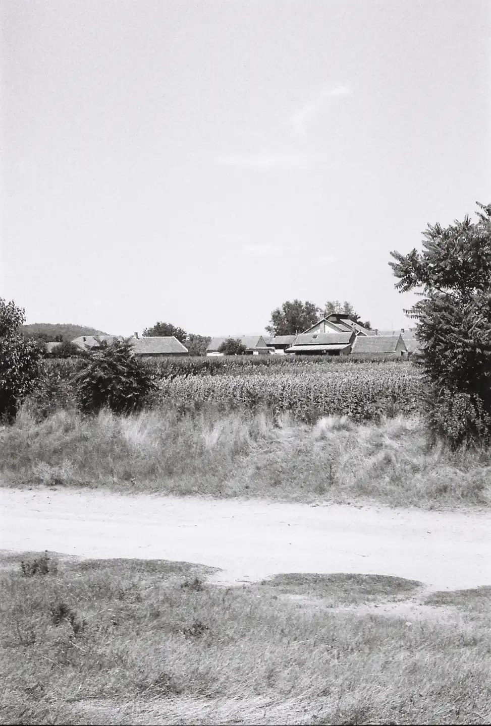 Village of Grebenac VIII