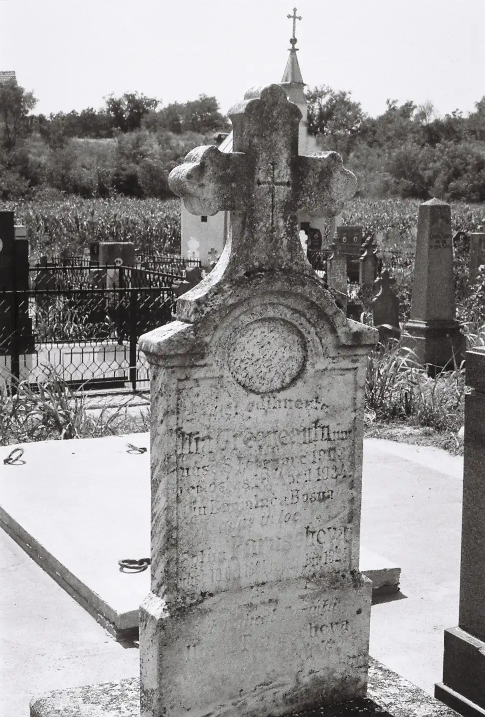 Village of Grebenac XII