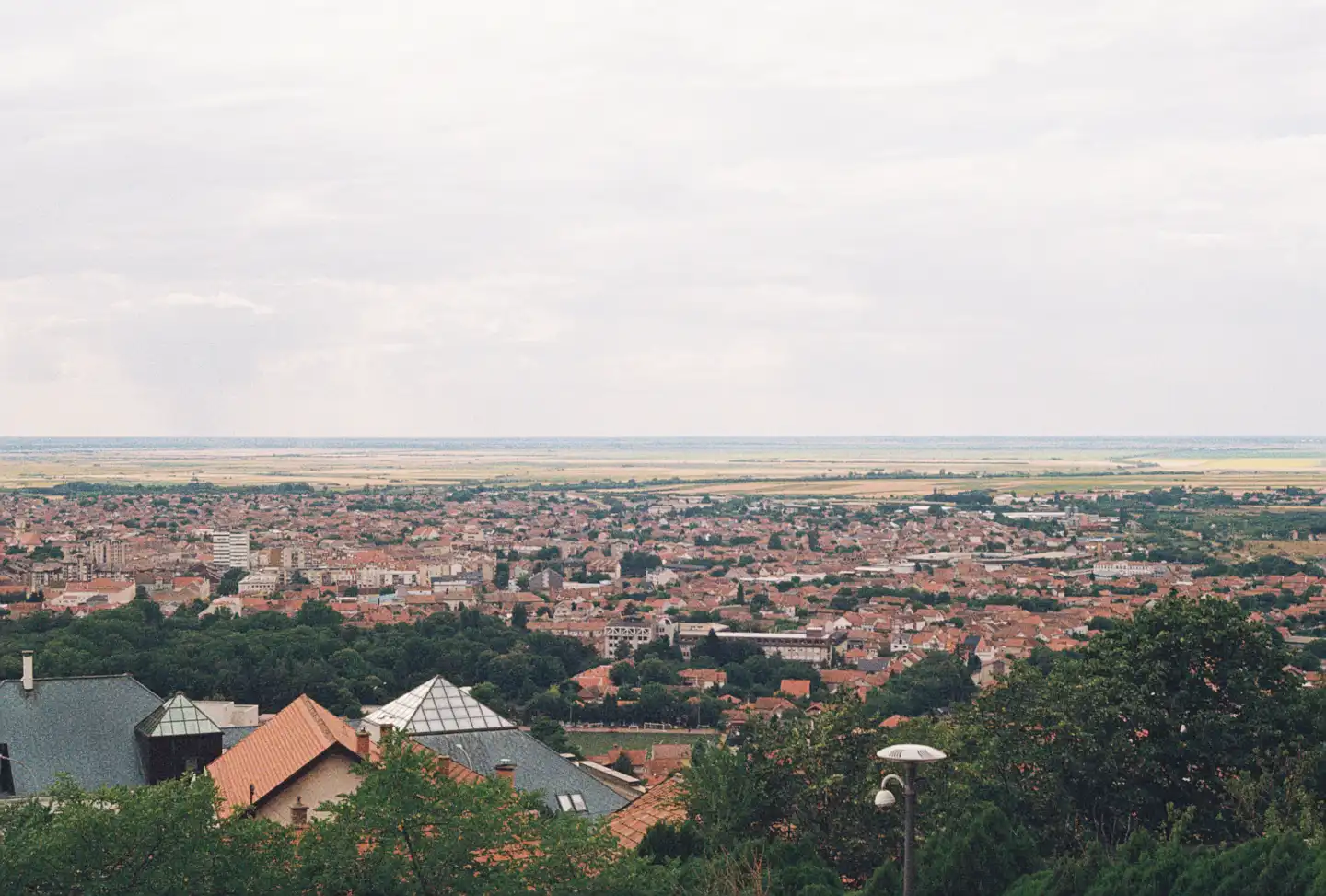 Walking up the Hill in Vrsac III
