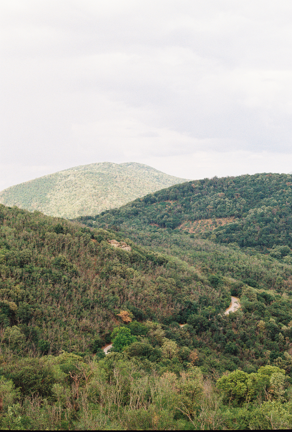 Hills of Vrsac