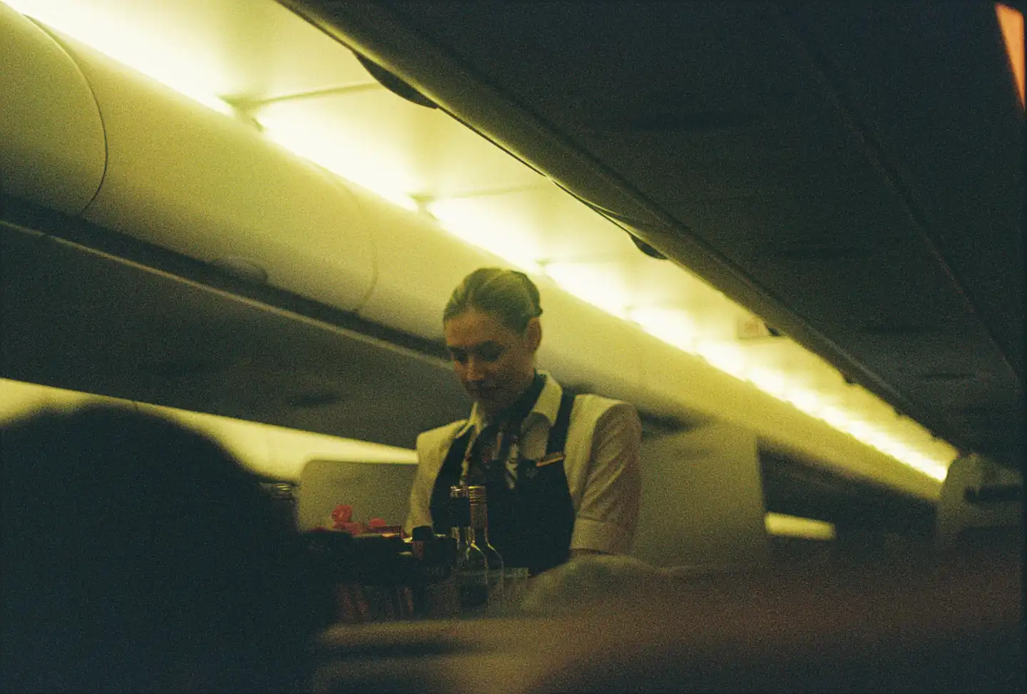 Flight Attendant