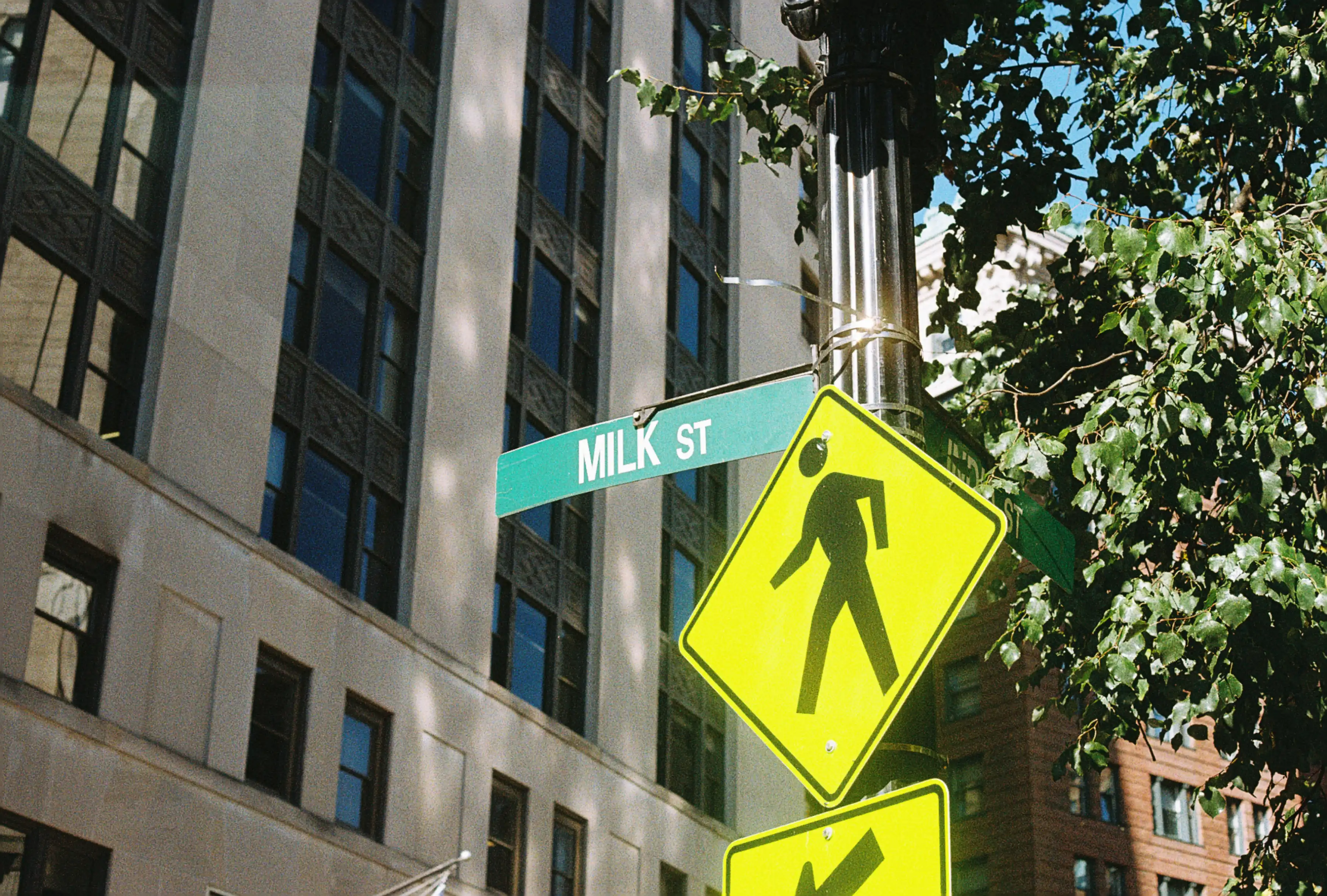 MILK st