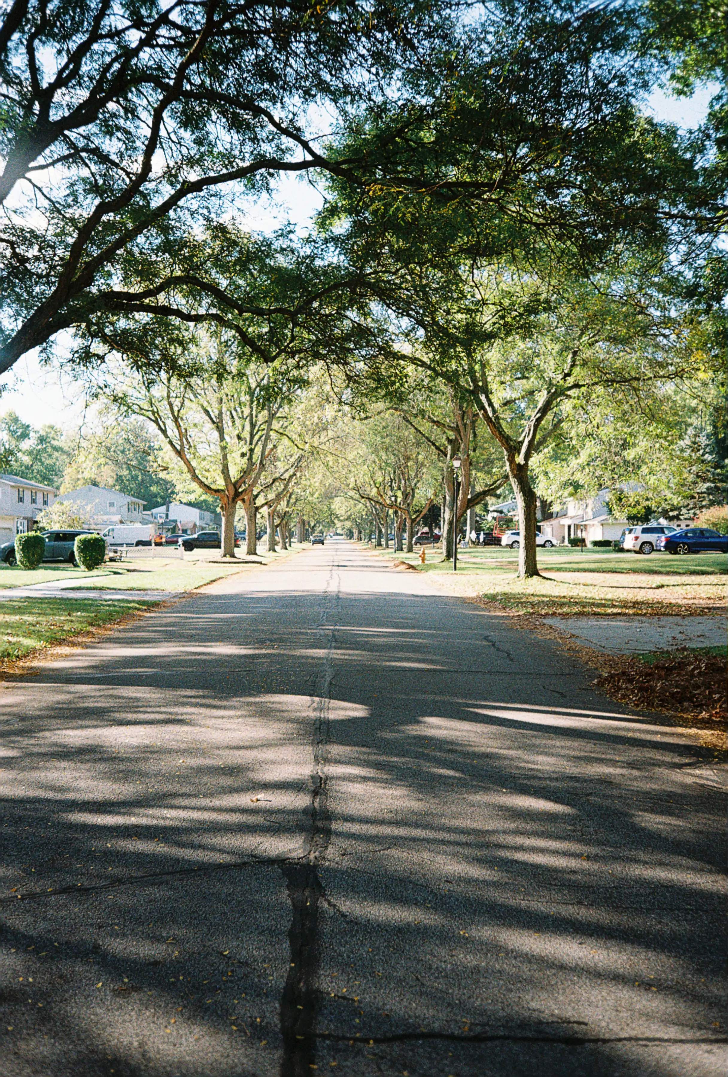 Biking Down the Road