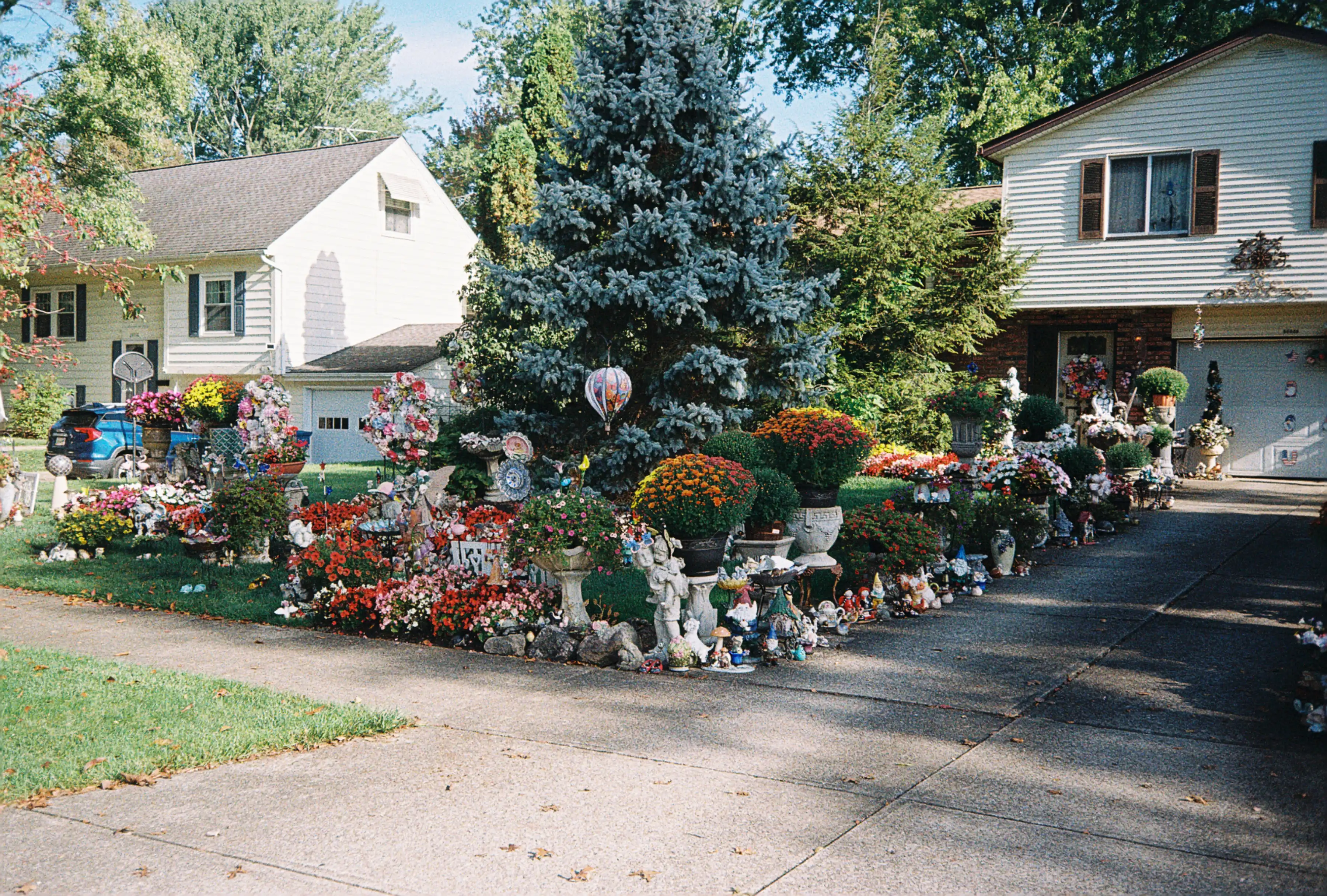 Gnome Yard