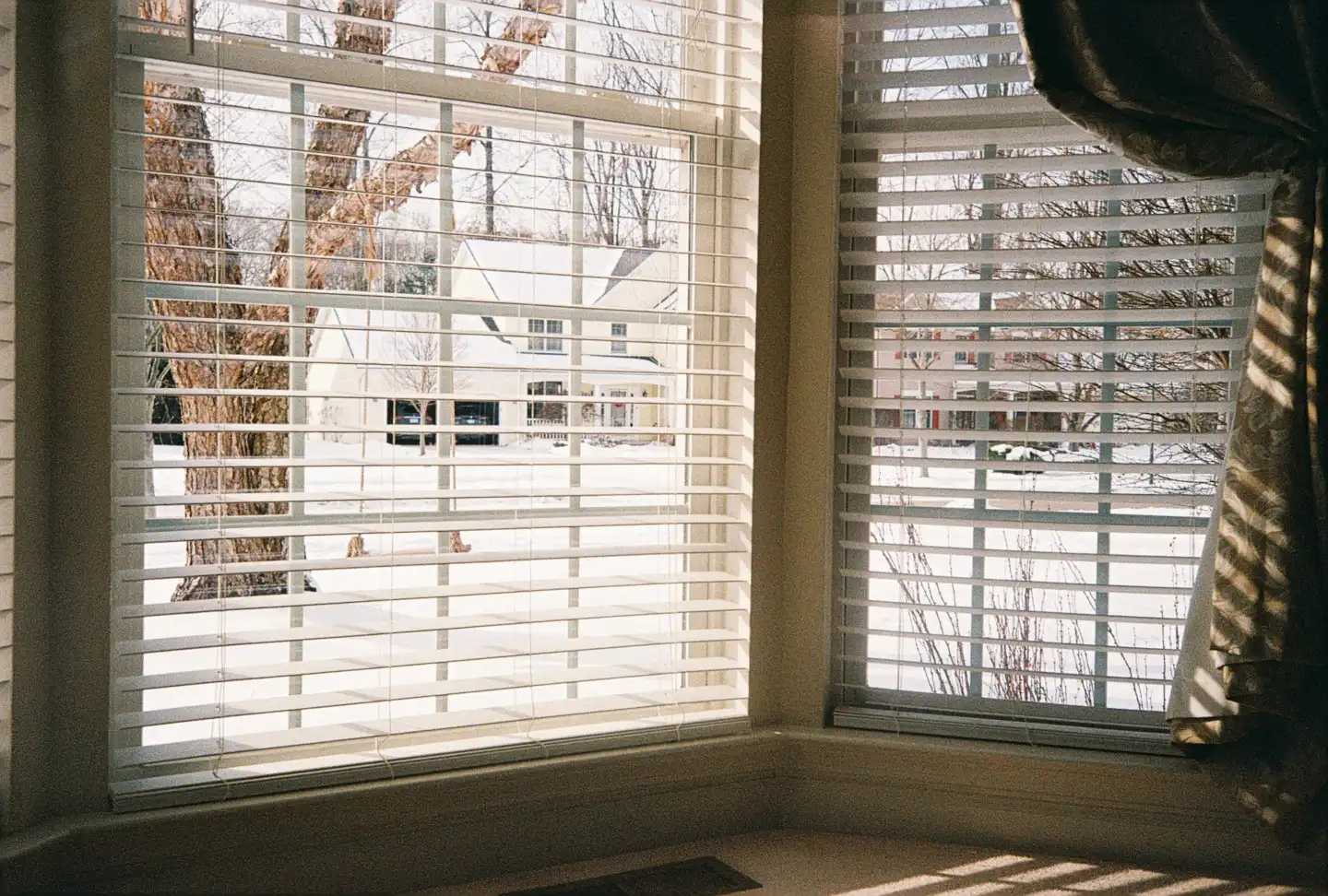 A Winter View Outside